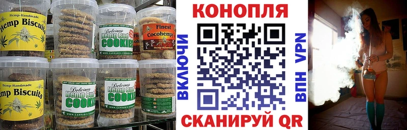 гидра маркетплейс Шахунья Печенье с ТГК марихуана закладки