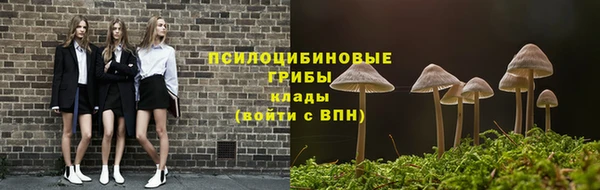 прущий лед Алексеевка