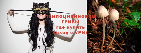 спиды Алзамай