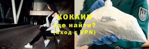 гидра Абаза