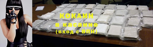 гидра Абаза