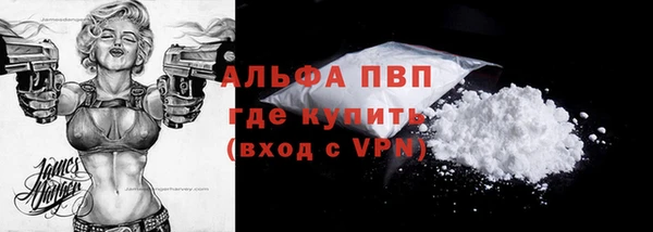 гидра Абаза
