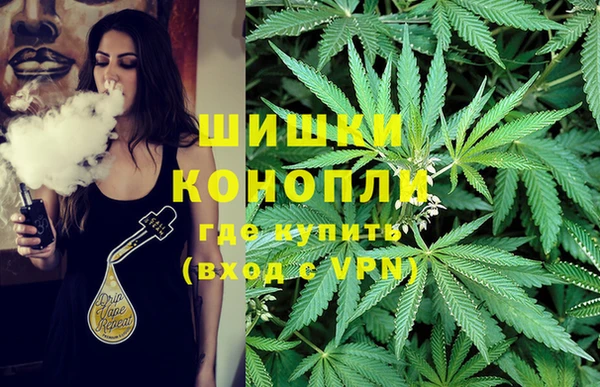 гидра Абаза