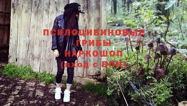 дурь Абинск