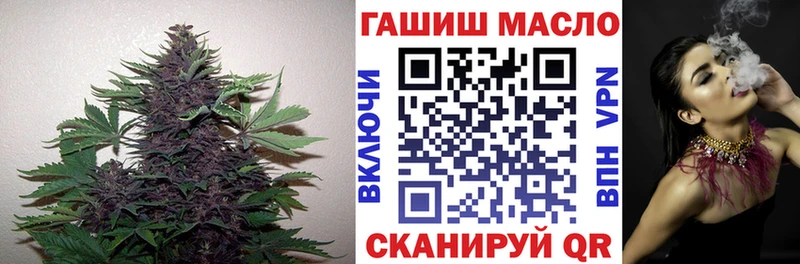 ТГК вейп  даркнет сайт  Шахунья 