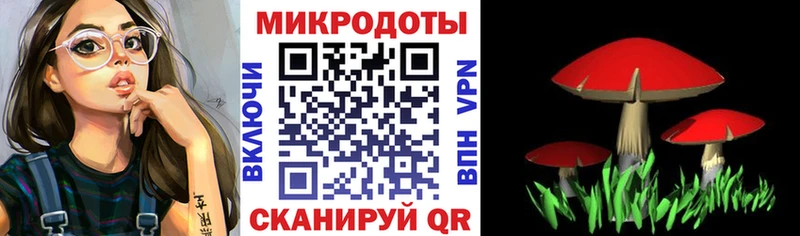 сколько стоит  Шахунья  Псилоцибиновые грибы Magic Shrooms 
